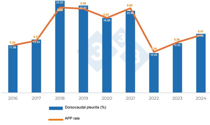 Graph 2. Evolution of lesions consistent with Actinobacillus pleuropneumoniae.